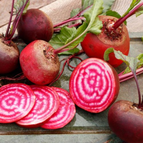 Photo de: Mini Betterave Chioggia